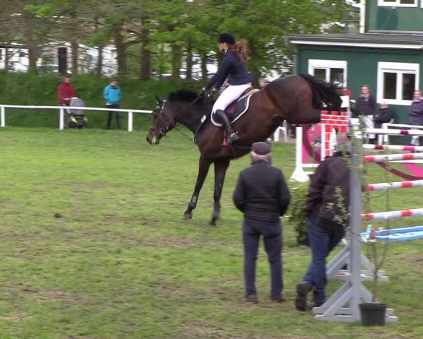 Reitturnier Meldorf 2019