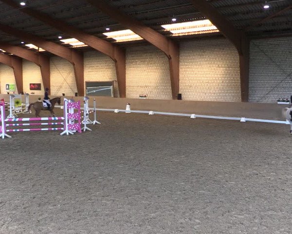 Reitturnier Kamen 2019