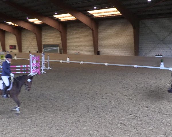 Reitturnier Kamen 2019