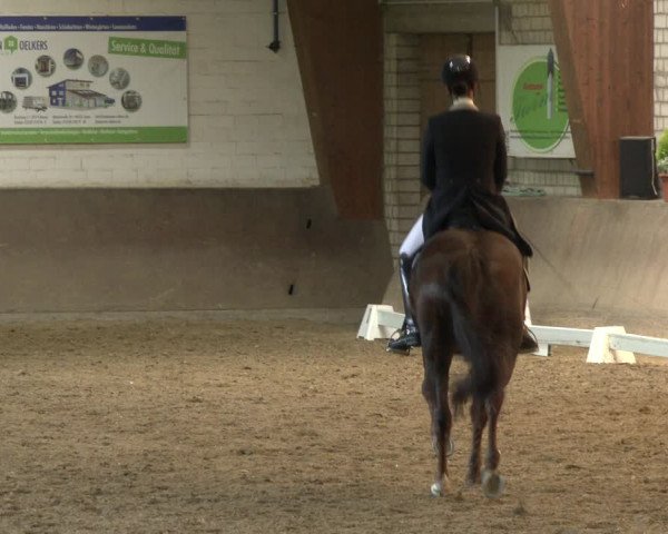 Reitturnier Kamen 2019