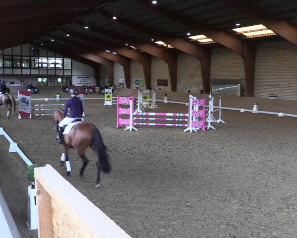 Reitturnier Kamen 2019