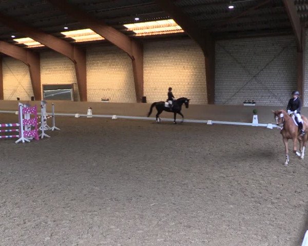 Reitturnier Kamen 2019