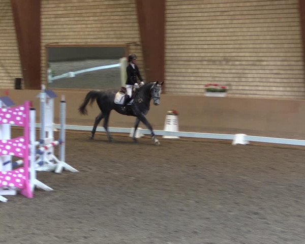 Reitturnier Kamen 2019