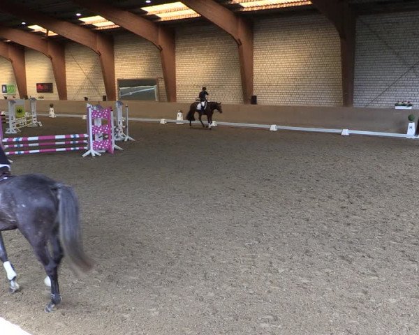Reitturnier Kamen 2019