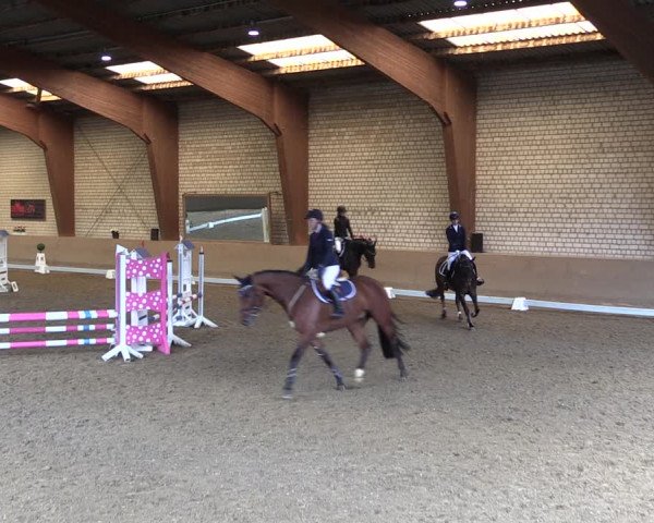 Reitturnier Kamen 2019