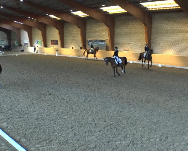 Reitturnier Kamen 2019