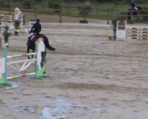 Reitturnier Kamen 2019