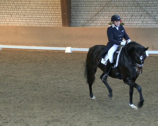 Reitturnier Kamen 2019