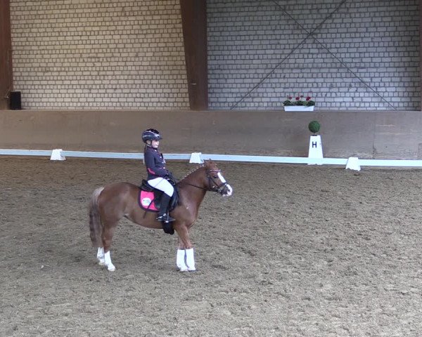 Reitturnier Kamen 2019