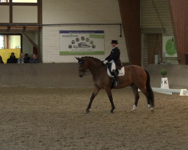 Reitturnier Kamen 2019