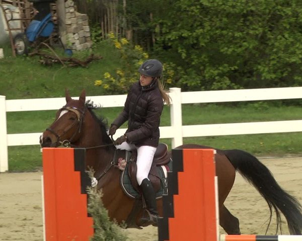 Reitturnier Leutkirch-Diepoldshofen 2019