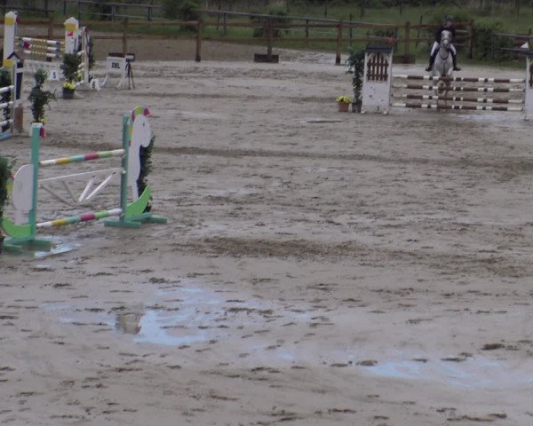 Reitturnier Kamen 2019