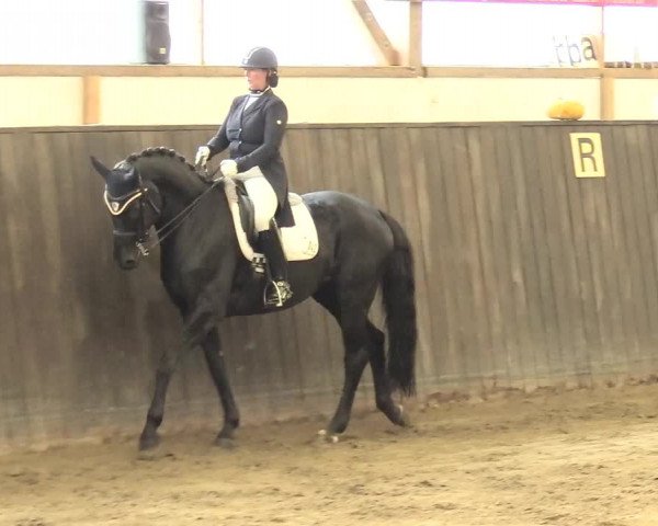 Reitturnier St. Peter Ording 2021
