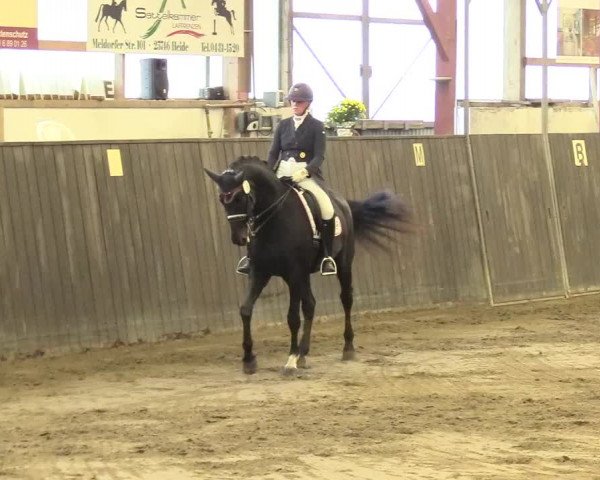Reitturnier St. Peter Ording 2021