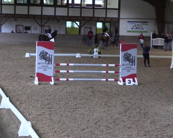 Reitturnier Kamen 2019