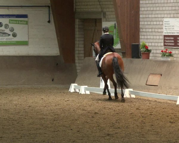 Reitturnier Kamen 2019