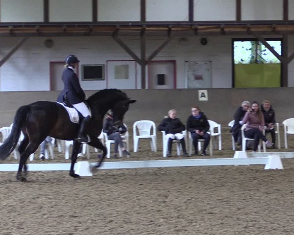 Reitturnier Kamen 2019