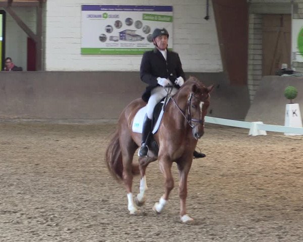 Reitturnier Kamen 2019