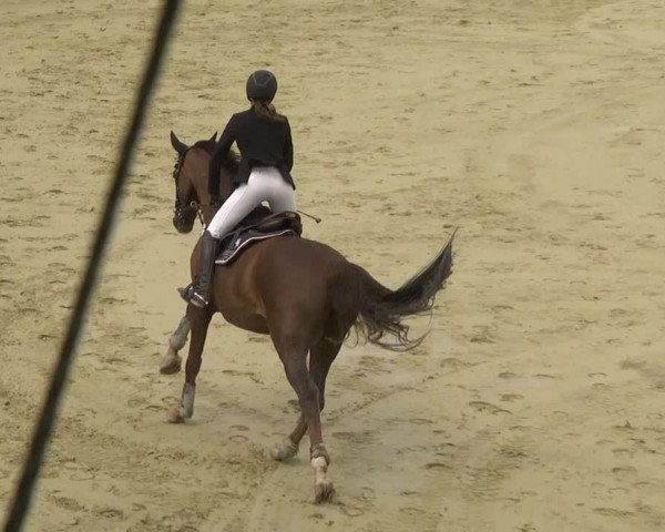 Reitturnier Leutkirch-Diepoldshofen 2019
