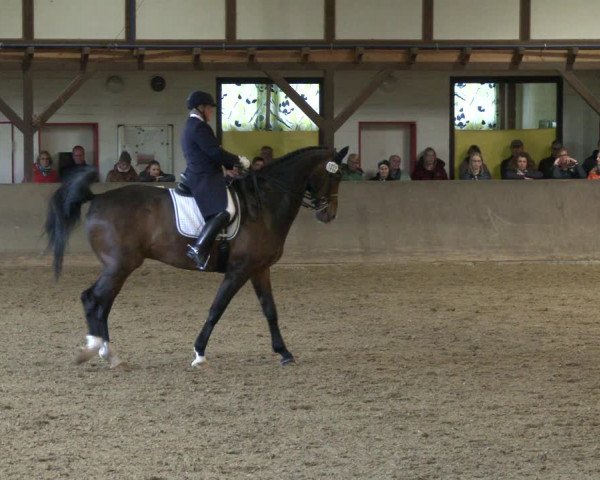 Reitturnier Kamen 2019