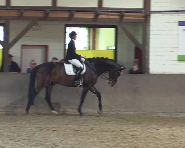 Reitturnier Kamen 2019