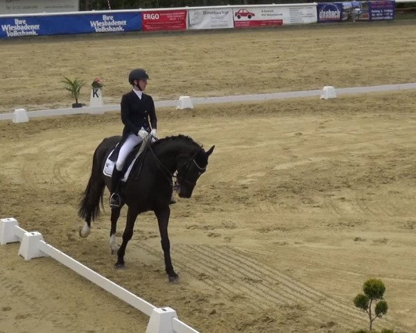 Reitturnier Wiesbaden-Erbenheim 2019