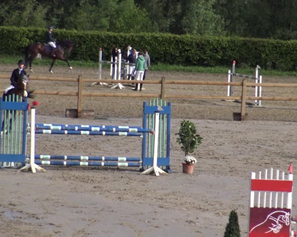 Reitturnier Kamen 2019