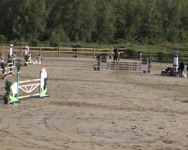 Reitturnier Kamen 2019