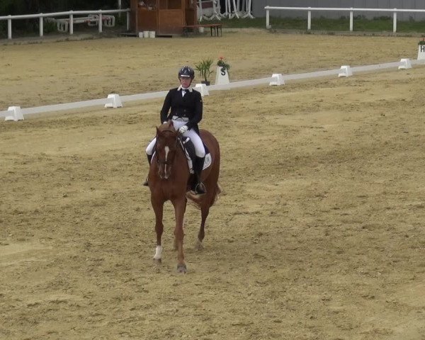 Reitturnier Wiesbaden-Erbenheim 2019