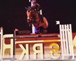 broodmare Demoiselle de La Pomme (Belgian Warmblood, 2009, from Erco van het Roosakker)