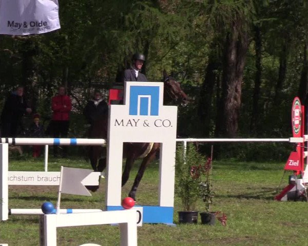 Reitturnier Meldorf 2019