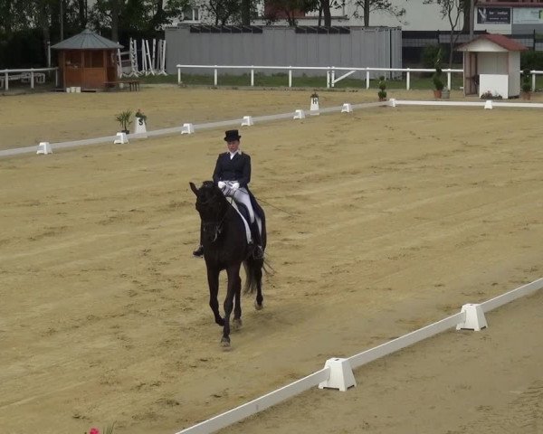 Reitturnier Wiesbaden-Erbenheim 2019