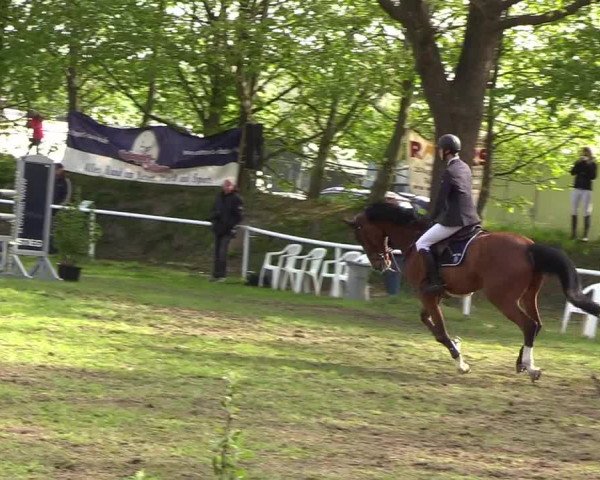 Reitturnier Meldorf 2019