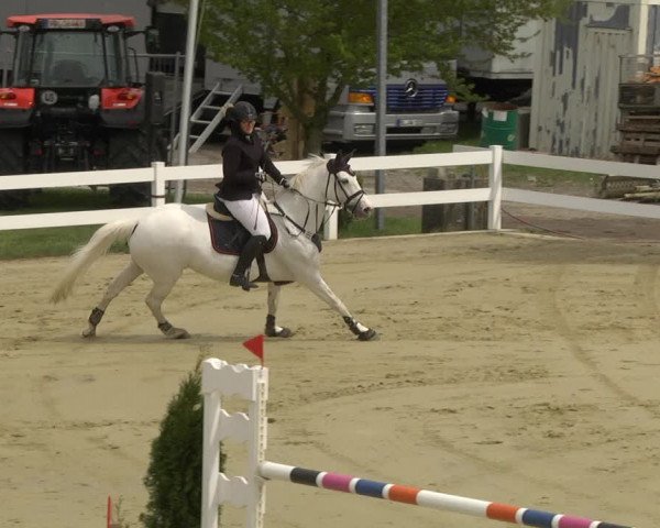 Reitturnier Leutkirch-Diepoldshofen 2019