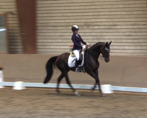 Reitturnier Kamen 2019
