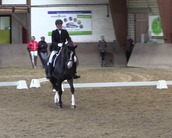 Reitturnier Kamen 2019