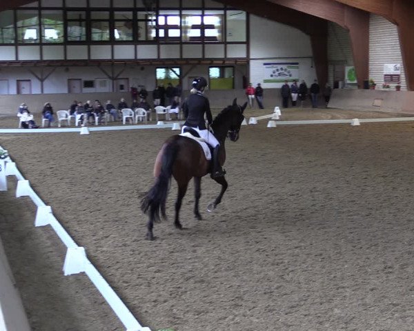 Reitturnier Kamen 2019