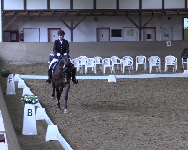 Reitturnier Kamen 2019