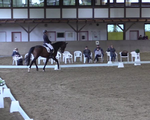 Reitturnier Kamen 2019