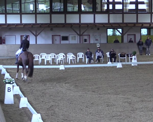 Reitturnier Kamen 2019