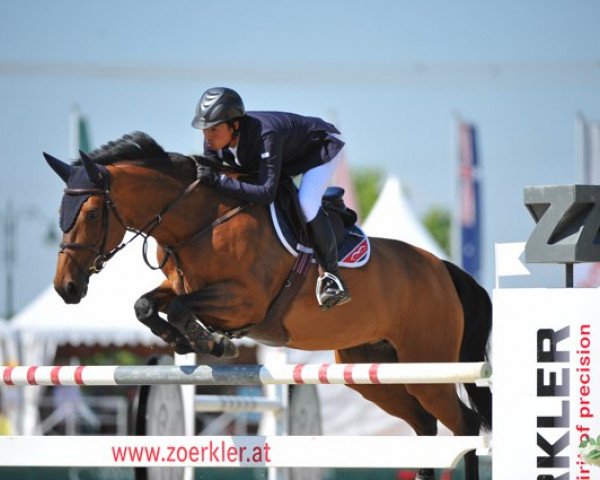 broodmare Heroine de Muze (Belgian Warmblood, 2007, from Tinka's Boy)