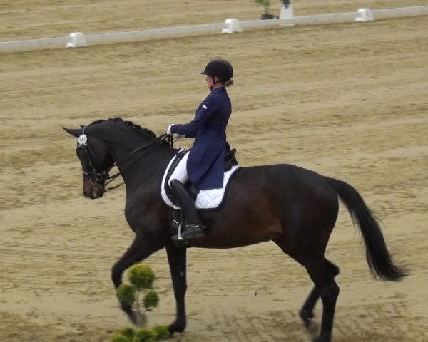 Reitturnier Wiesbaden-Erbenheim 2019