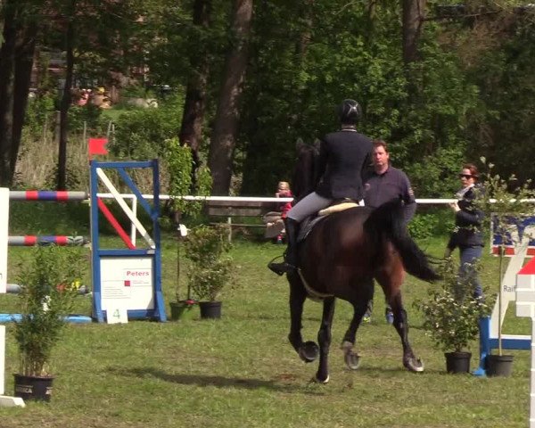 Reitturnier Meldorf 2019