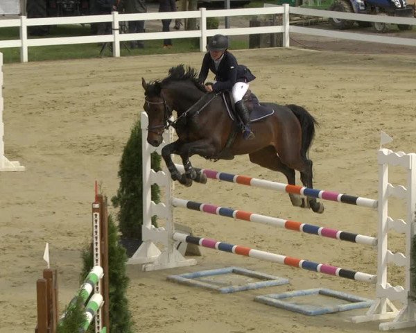 Reitturnier Leutkirch-Diepoldshofen 2019