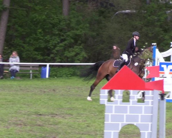 Reitturnier Meldorf 2019