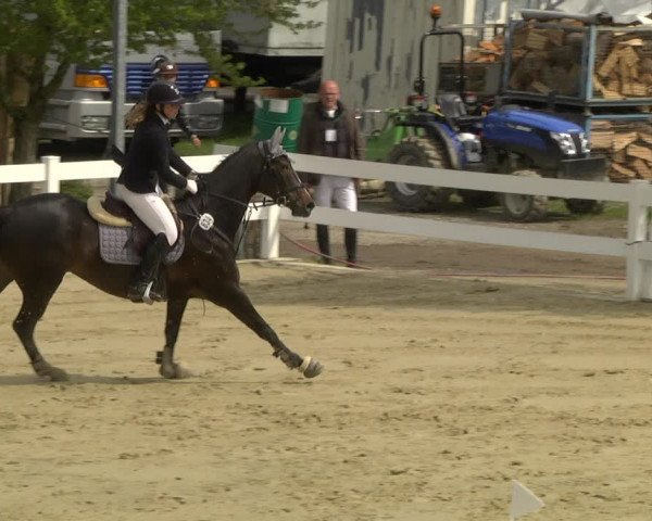 Reitturnier Leutkirch-Diepoldshofen 2019