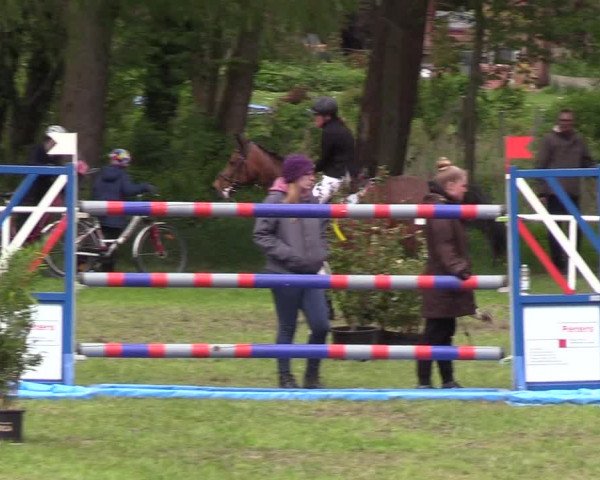 Reitturnier Meldorf 2019