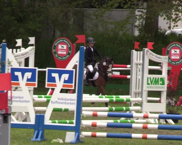 Reitturnier Meldorf 2019