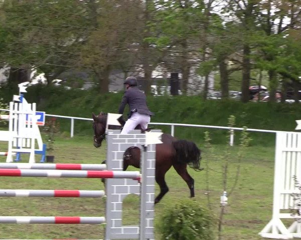 Reitturnier Meldorf 2019