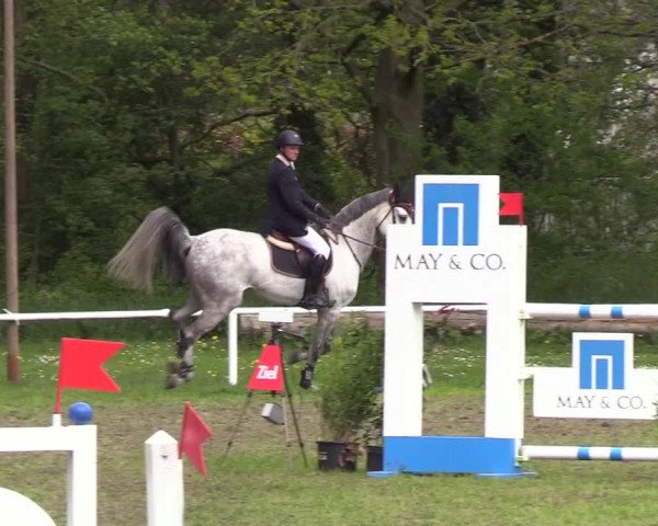 Reitturnier Meldorf 2019